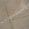 Spiediens